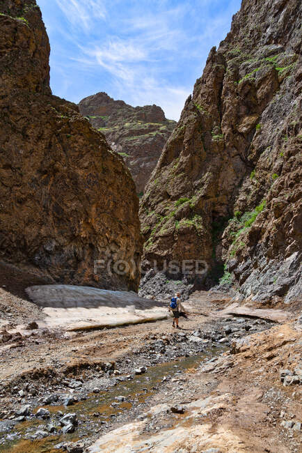 Hombre caminando por Yolyn Am, Parque Nacional Gobi Gurvansaikhan, Desierto de Gobi, Mongolia - foto de stock