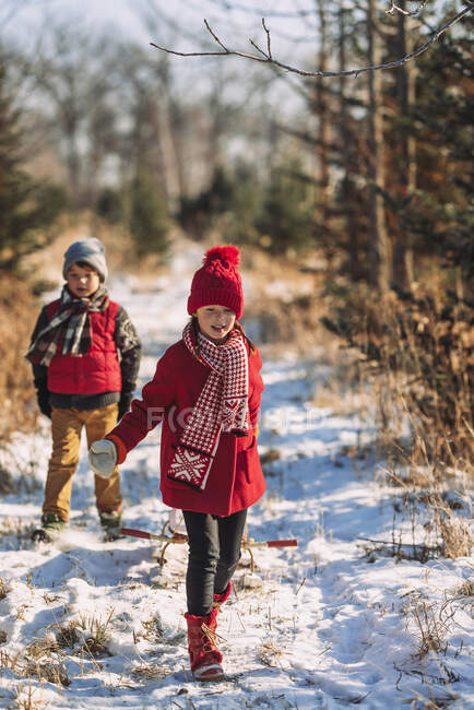 Duas crianças caminhando ao longo de um caminho em uma fazenda de árvores de Natal, Estados Unidos — Fotografia de Stock