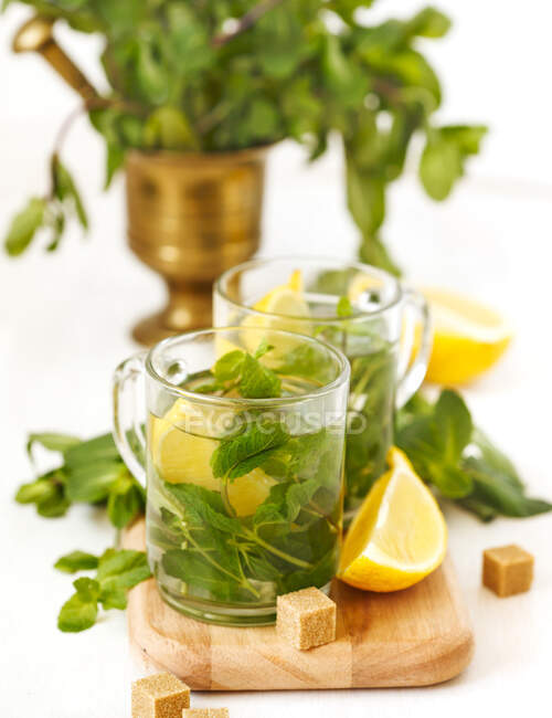 Дві чашки монетного чаю з лимоном — стокове фото