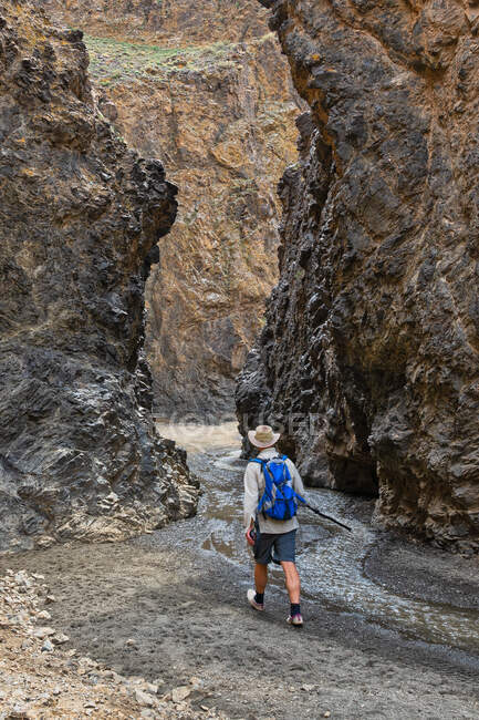 Man walking in Dungenee Gorge, Gobi Gurvansaikhan National Park, Gobi Desert, Mongolia — Stock Photo