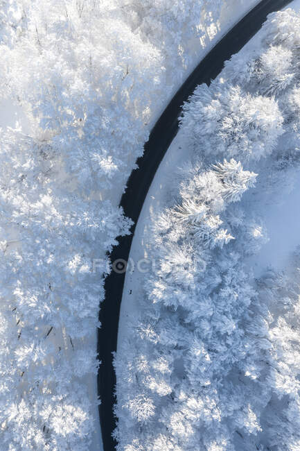 Malerischer Blick auf die Straße im endlosen, schneebedeckten Wald bei sonnigem Tag — Stockfoto