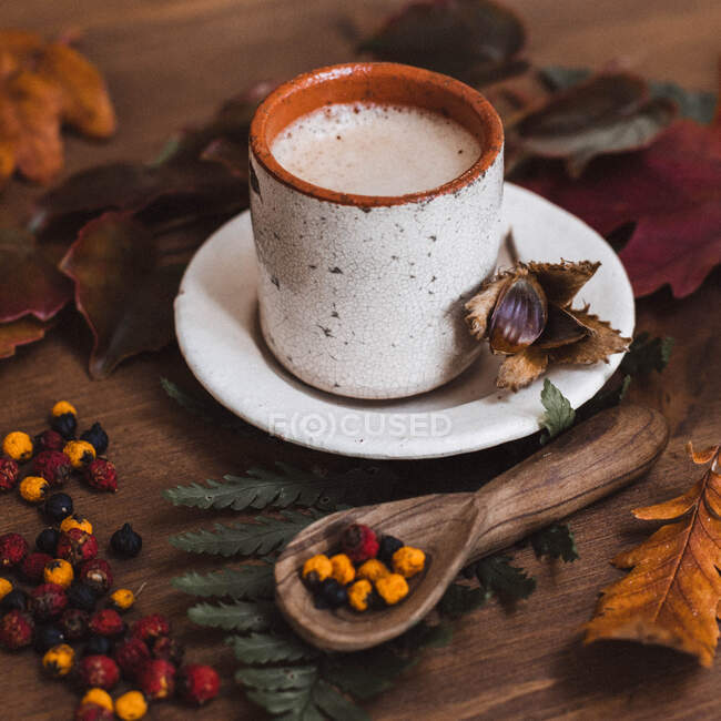 Chá quente com uma xícara, café e frutas secas — Fotografia de Stock