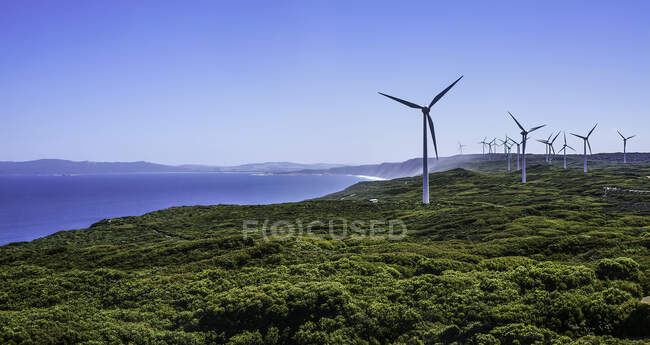 Rigoglioso prato verde con mulini a vento sulle rocce costiere via mare — Foto stock