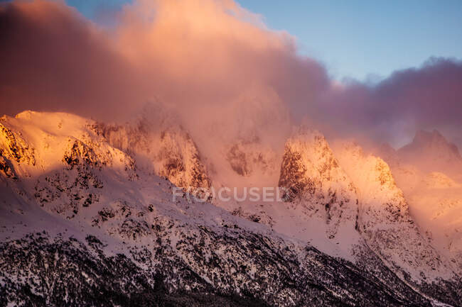 Vista pittoresca di infinite belle montagne con alberi nella nebbia mattina — Foto stock
