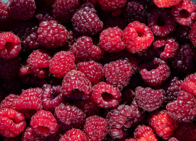 Haufen frischer roher Himbeeren, Nahsicht — Stockfoto