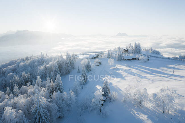 Hermoso paisaje de invierno con árboles cubiertos de nieve - foto de stock