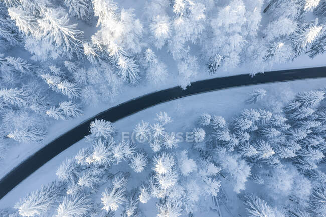 Paesaggio invernale con alberi innevati. sfondo — Foto stock