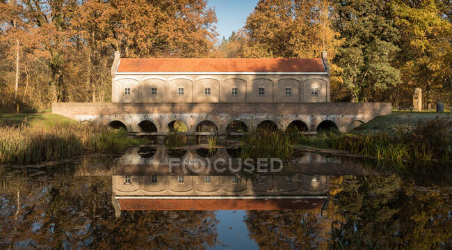 Живописный снимок красивого древнего моста через реку в осеннем лесу — стоковое фото