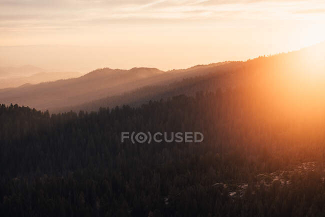 Мальовничий вид на нескінченні красиві гори з деревами в туманний ранок — стокове фото