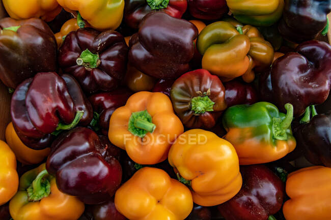 Pile de poivrons crus frais, vue de près — Photo de stock