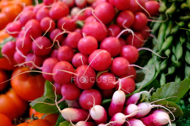 Pile of fresh raw radishes, close view — Stock Photo