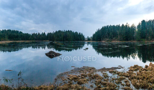 Riflessioni paesaggistiche rurali in un lago, Canada — Foto stock