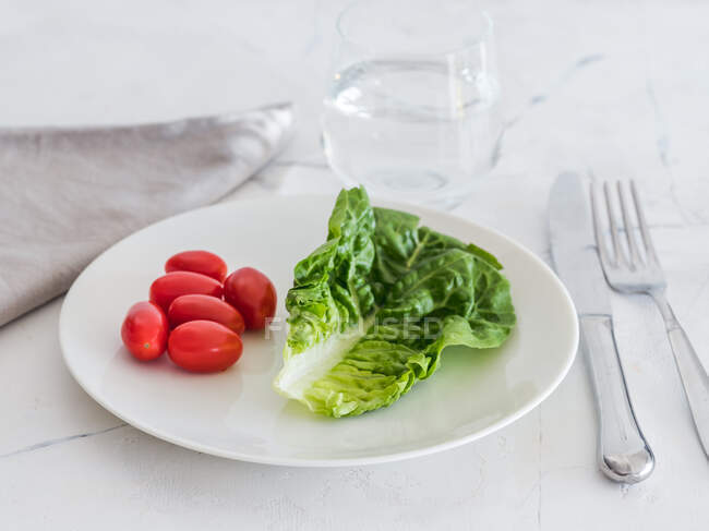 Листя салату і помідор на тарілці — стокове фото