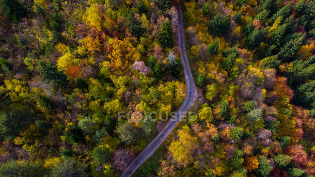 Vista aérea de una carretera a través de un bosque de otoño, Trebevic, Sarajevo, Bosnia y Herzegovina - foto de stock