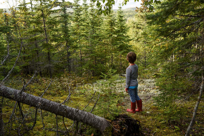 Niño parado en un bosque en verano, Lake Superior Provincial Park, Estados Unidos - foto de stock