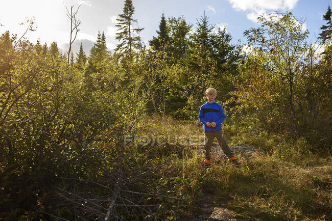 Мальчик прогуливается по лесу в парке Лейк-Сьюдад, США — стоковое фото