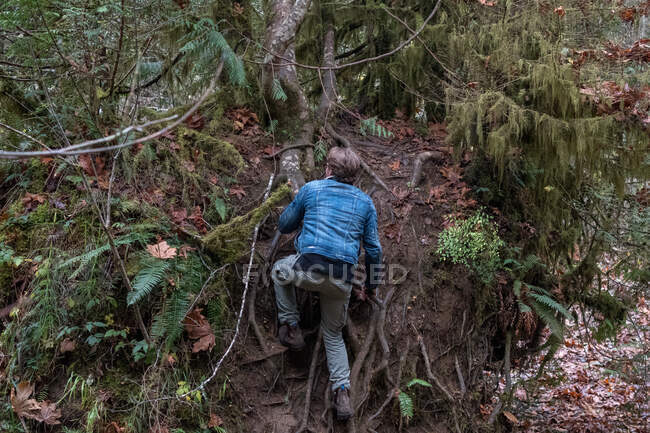 Mann klammert sich an Baumwurzeln und klettert einen Hügel hinauf, Kanada — Stockfoto