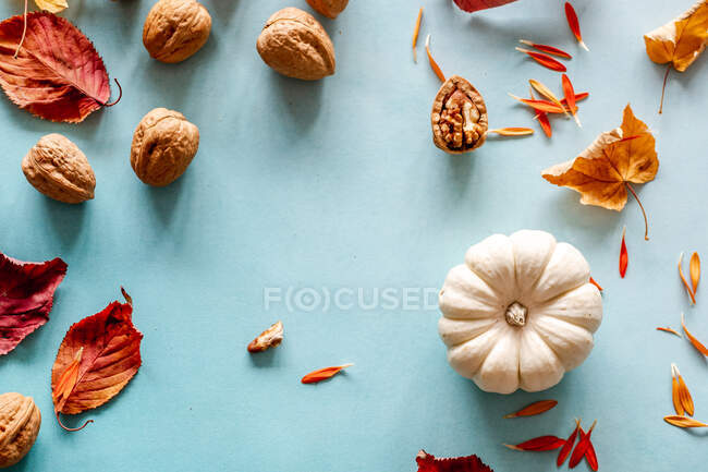 Pumpkin, walnuts, flower petals and autumn leaves — Stock Photo
