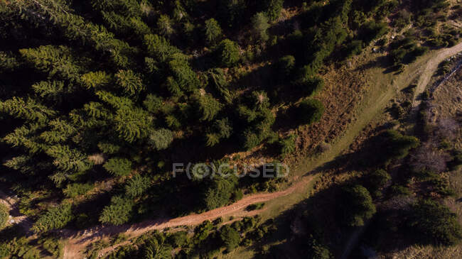 Aerial view of an alpine field, Bosnia and Herzegovina — Stock Photo