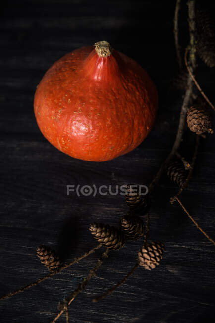 Orange pumpkin and pine cones — Stock Photo