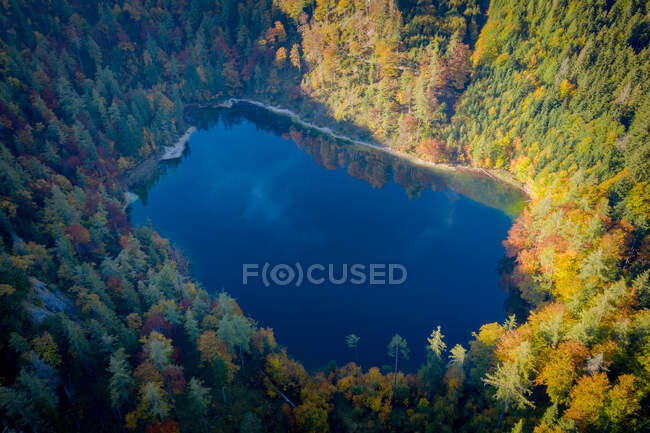 Aerial view of treelined forest by lake Eibensee near Salzburg, Austria — Stock Photo