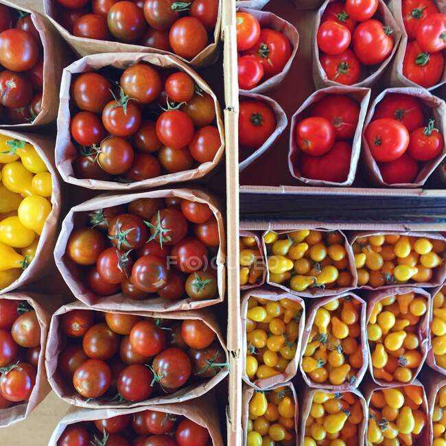 Vista aérea de punnets de tomates para la venta en un mercado - foto de stock