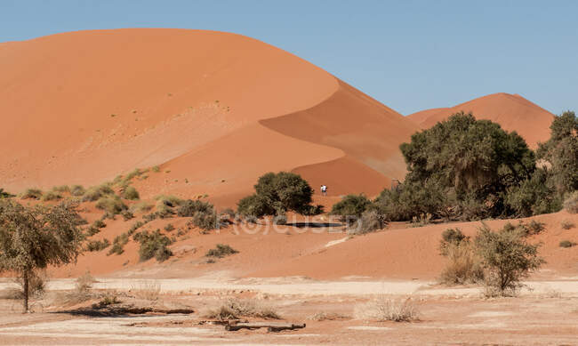 Three people hiking up a sand dune in the Namib Desert, Namibia — Stock Photo