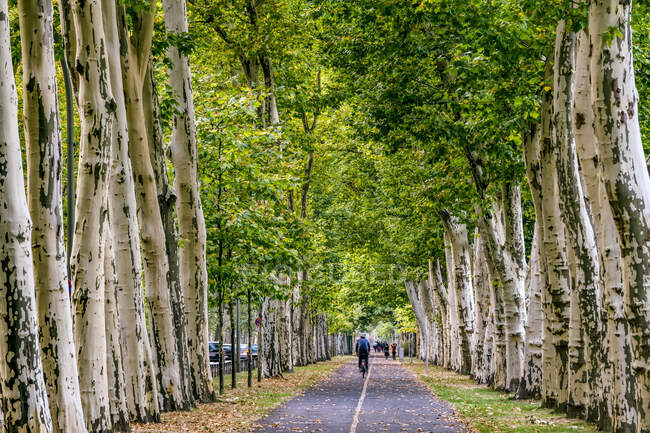 People walking and cycling along Puschkin Allee, Treptower Park, Berlin, Germany — Stock Photo