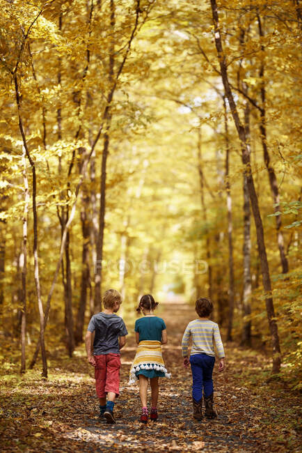 Três crianças caminhando ao longo de um caminho na floresta no início do outono, Estados Unidos — Fotografia de Stock