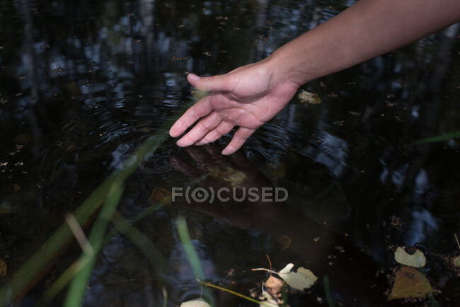 Woman dipping her hand in a river, Bulgaria — Stock Photo