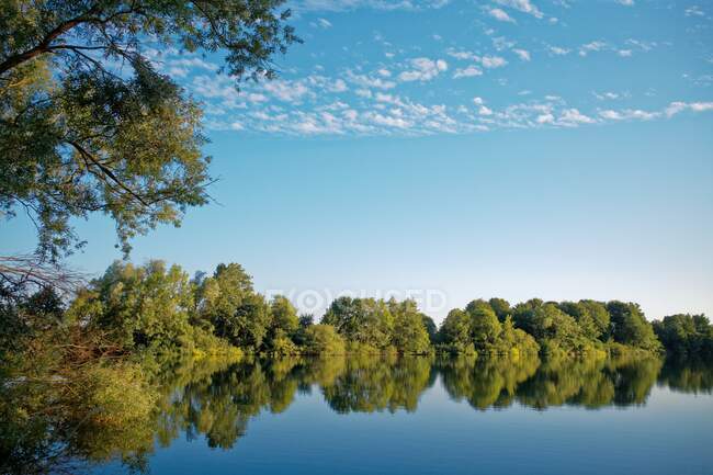 Réflexions d'arbres dans un lac près de Tergast, Frise orientale, Basse-Saxe, Allemagne — Photo de stock