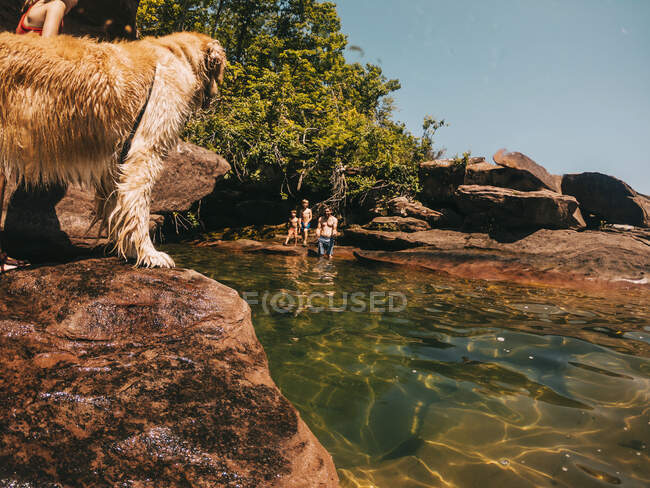 Батько з трьома дітьми та собакою в озері Верхньому (США). — стокове фото