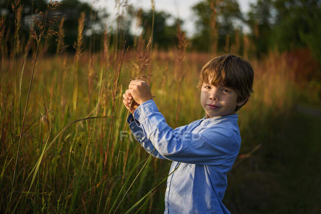 Retrato de un niño parado en un campo al atardecer, Estados Unidos - foto de stock