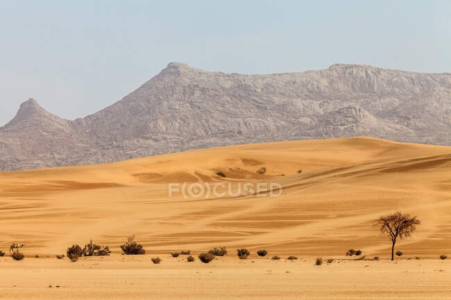 Paisaje del desierto, Arabia Saudita - foto de stock