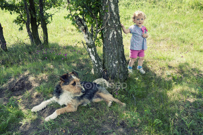Chicas de pie en un jardín junto a un perro acostado debajo de un árbol, Polonia - foto de stock