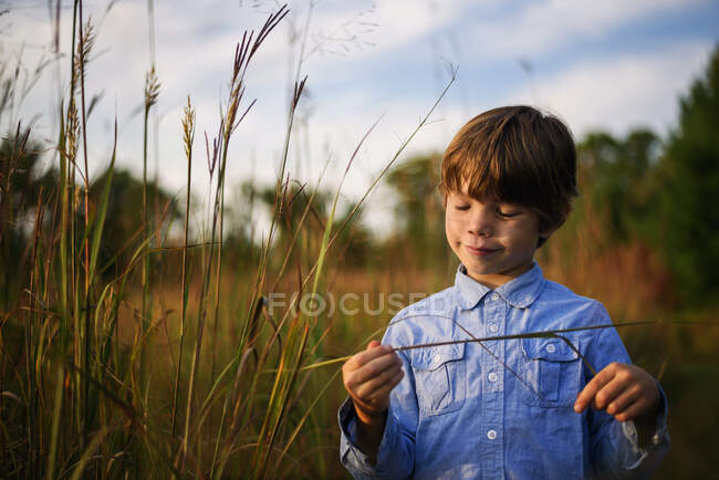 Portrait d'un garçon debout dans un champ au coucher du soleil tenant de l'herbe longue, États-Unis — Photo de stock