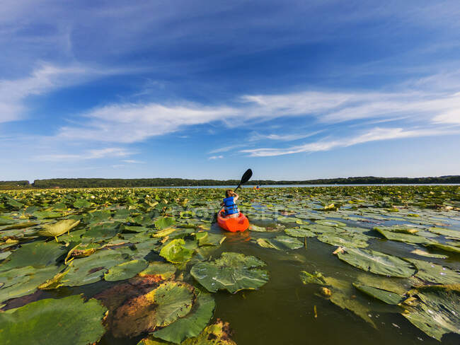 Menino de caiaque no lago cheio de lírios de água — Fotografia de Stock