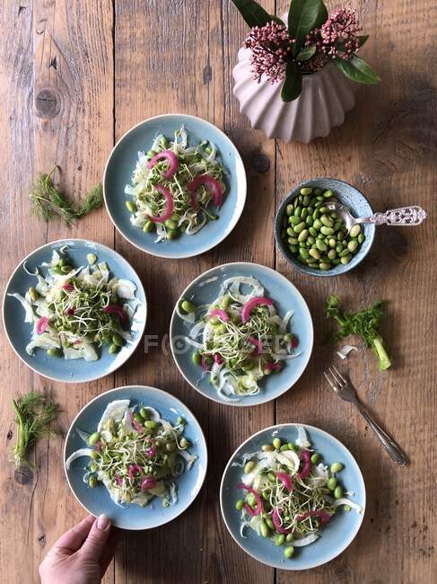 Woman's hand serving plates of Edamame, sprouts and fennel and red onion salad — Stock Photo