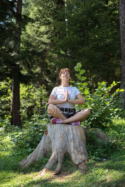 Mulher sentada em um toco de árvore meditando, Bósnia e Herzegovina — Fotografia de Stock