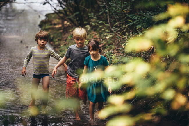 Трое детей гуляют в ручье, США — стоковое фото