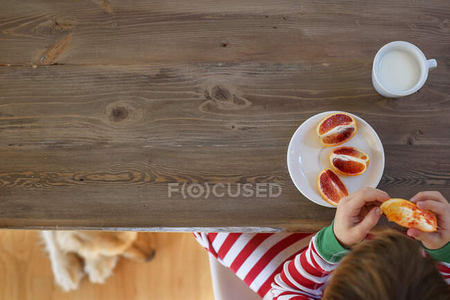Vista aérea de un niño comiendo una naranja sangre y su perro sentado debajo de la mesa - foto de stock