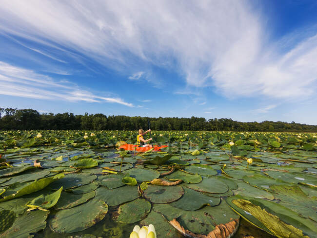 Хлопчик на байдарках в озері, наповненому водними ліліями — стокове фото