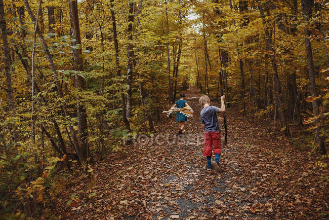 Junge und Mädchen spazieren im Frühherbst durch einen Wald, Vereinigte Staaten — Stockfoto