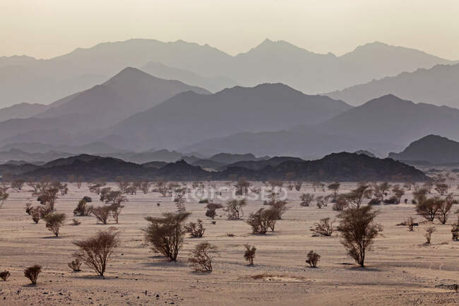 Paisaje de montaña en el desierto, Arabia Saudita - foto de stock