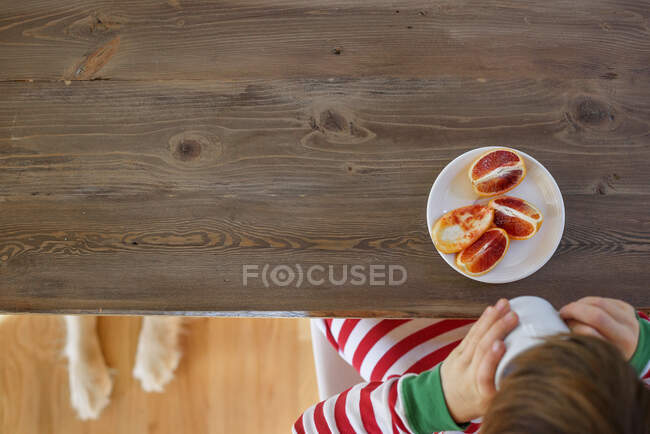 Blick von oben auf einen kleinen Jungen, der einen Imbiss mit Hund unter dem Tisch einnimmt — Stockfoto