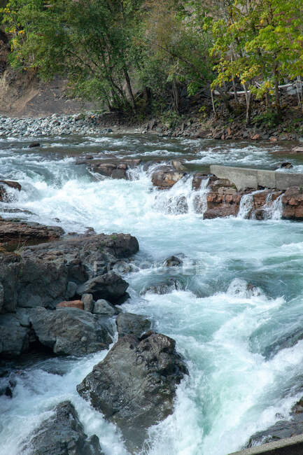 Rápidos fluviales, Stamp river Provincial Park, Port Alberni, Columbia Británica, Canadá - foto de stock