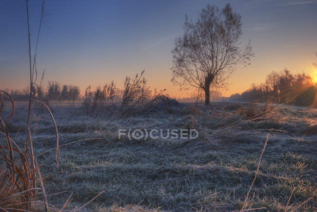 Paesaggio invernale all'alba, Italia — Foto stock