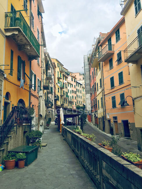 Casas multicolores en calle principal, Riomaggiore, Cinque Terre, La Spezia, Liguria, Italia - foto de stock