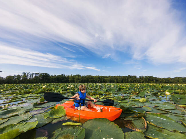 Menino de caiaque no lago cheio de lírios de água — Fotografia de Stock