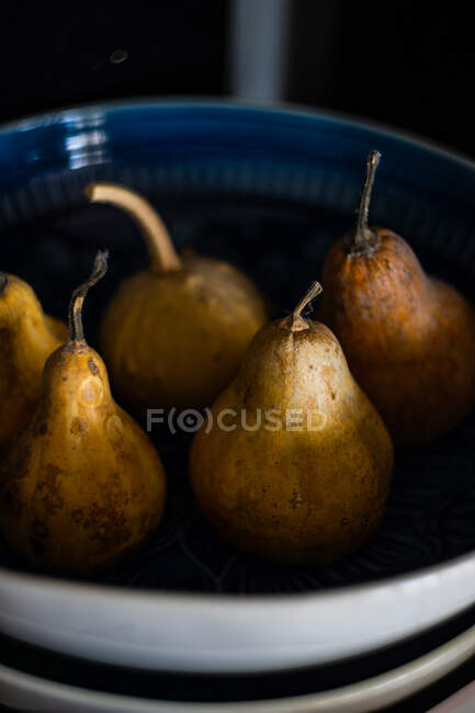 Fresh organic pumpkins in a bowl — Stock Photo